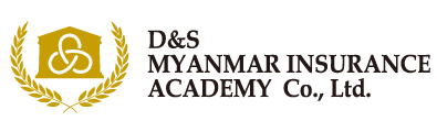 d&s myanmar insurance academy